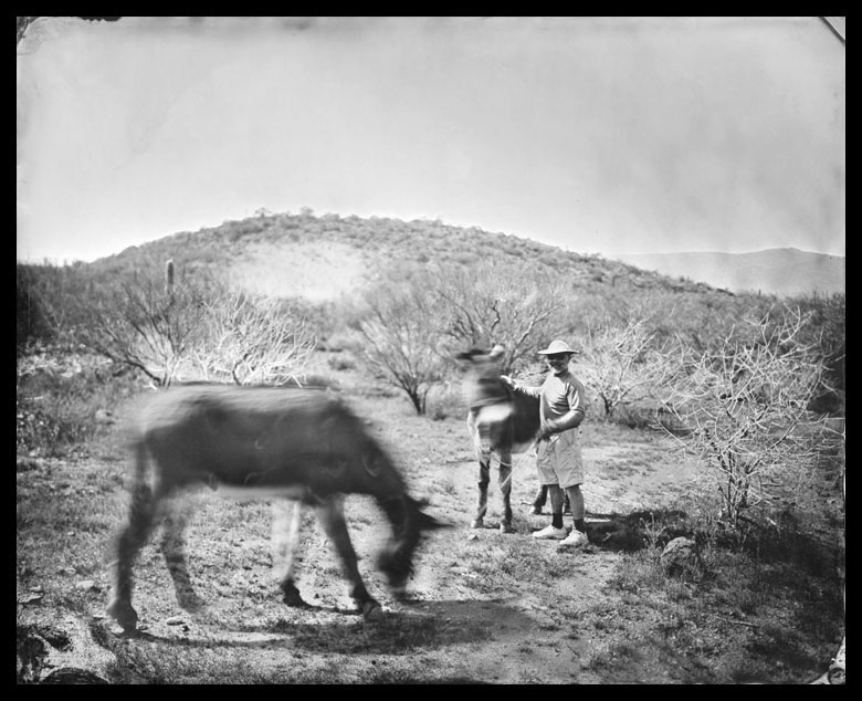 cole caswell colecaswell peripheral subsistence tintype